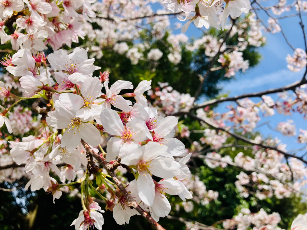 ペンギン水族館02