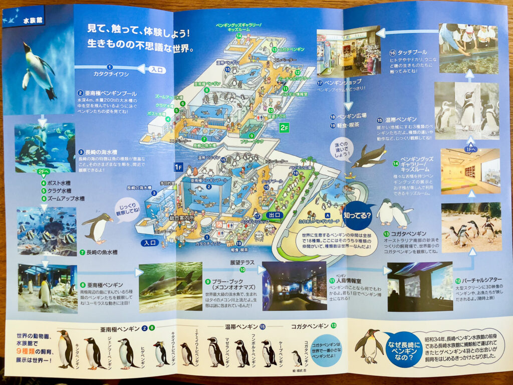 ペンギン水族館13