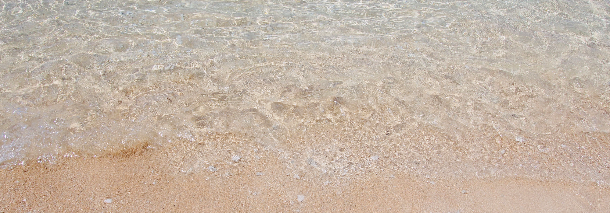 ヘッダーメディア画像PC