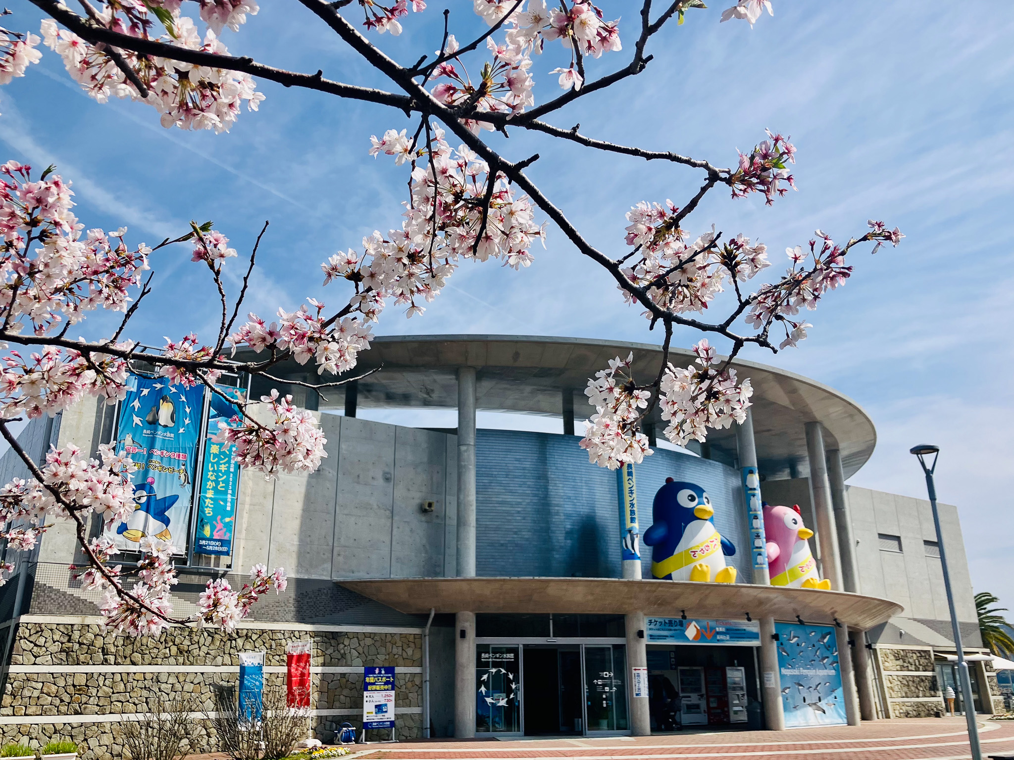 ペンギン水族館01
